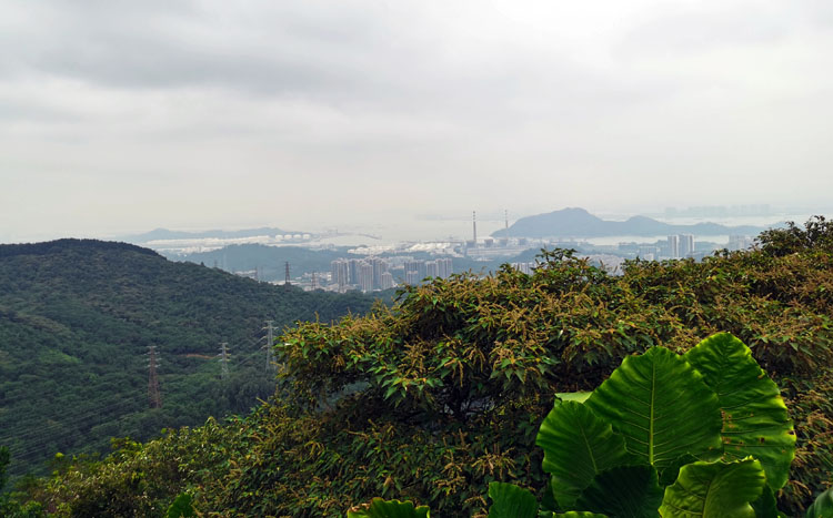 激揚青春、奮勇攀登登山活動